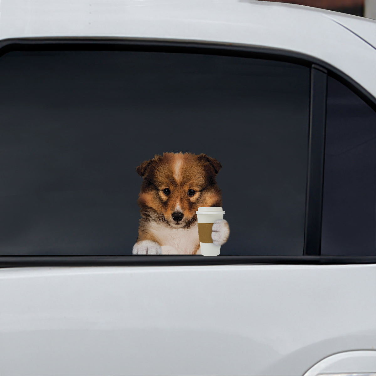 Bonjour - Autocollant de voiture/porte/réfrigérateur/ordinateur portable Shetland Sheepdog V1