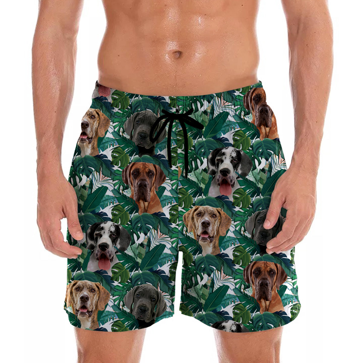 Dogue Allemand - Short Hawaïen V3