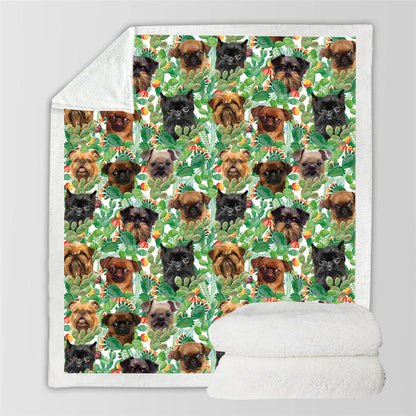 Griffon Bruxellois - Couverture colorée V2