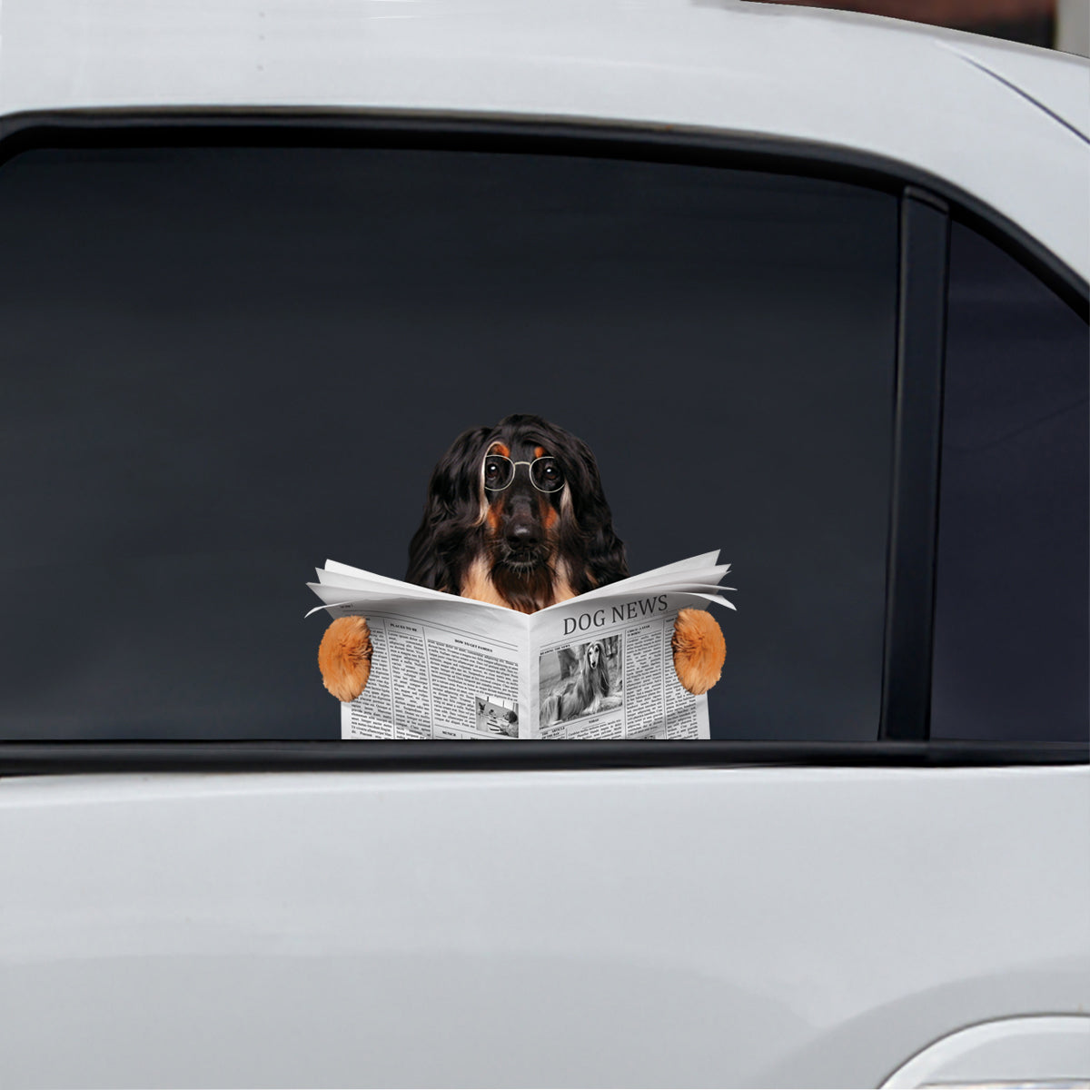 Haben Sie heute die Nachrichten gelesen? Aufkleber „Afghanischer Windhund“ für Auto/Tür/Kühlschrank/Laptop V1