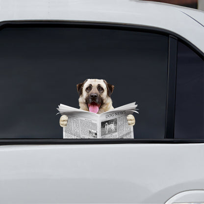 Haben Sie heute die Nachrichten gelesen? - Aufkleber für Auto/Tür/Kühlschrank/Laptop mit anatolischem Schäferhund V1