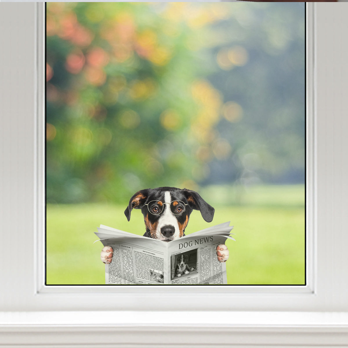 Haben Sie heute die Nachrichten gelesen - Appenzeller Sennenhund Auto-/Tür-/Kühlschrank-/Laptop-Aufkleber V1