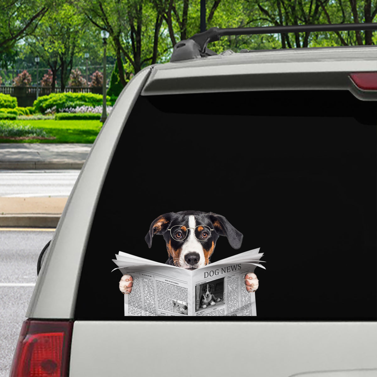 Avez-vous lu les nouvelles aujourd'hui - Appenzeller Sennenhund Autocollant de voiture/porte/réfrigérateur/ordinateur portable V1