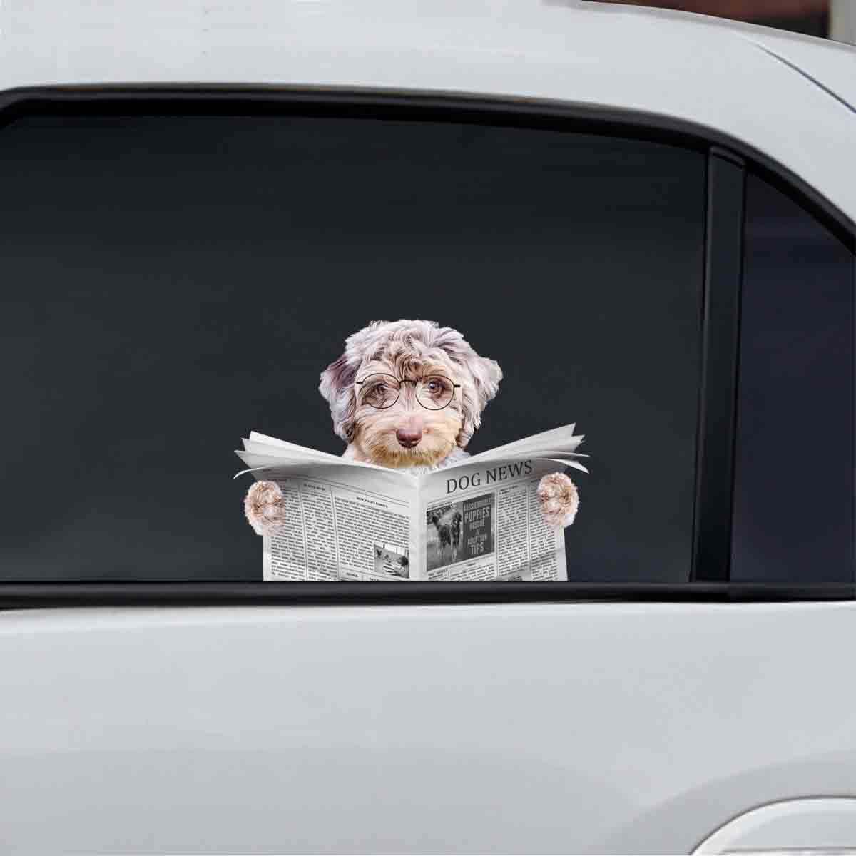 Have You Read The News Today - Aussiedoodle Car/ Door/ Fridge/ Laptop Sticker V1