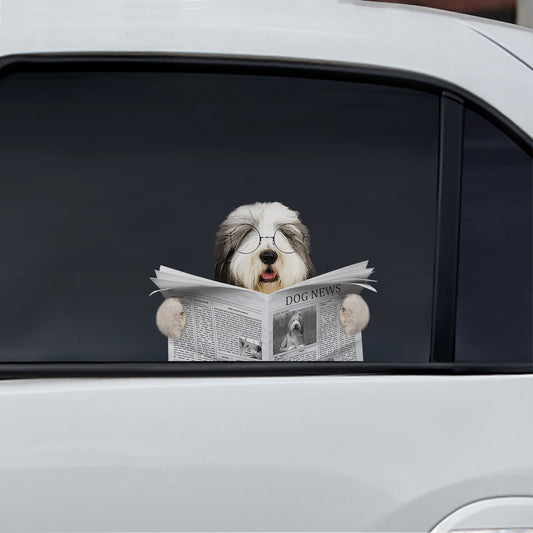 Have You Read The News Today - Bearded Collie Car/ Door/ Fridge/ Laptop Sticker V1