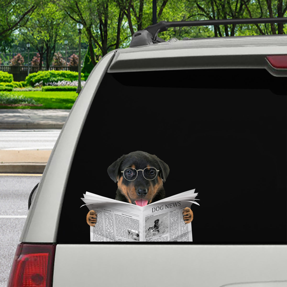 Have You Read The News Today - Beauceron Car/ Door/ Fridge/ Laptop Sticker V1