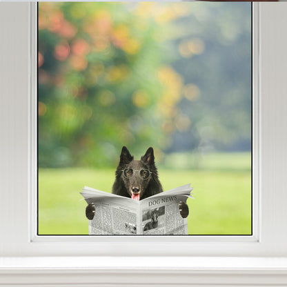 Haben Sie heute die Nachrichten gelesen – Belgischer Schäferhund-Auto-/Tür-/Kühlschrank-/Laptop-Aufkleber V1