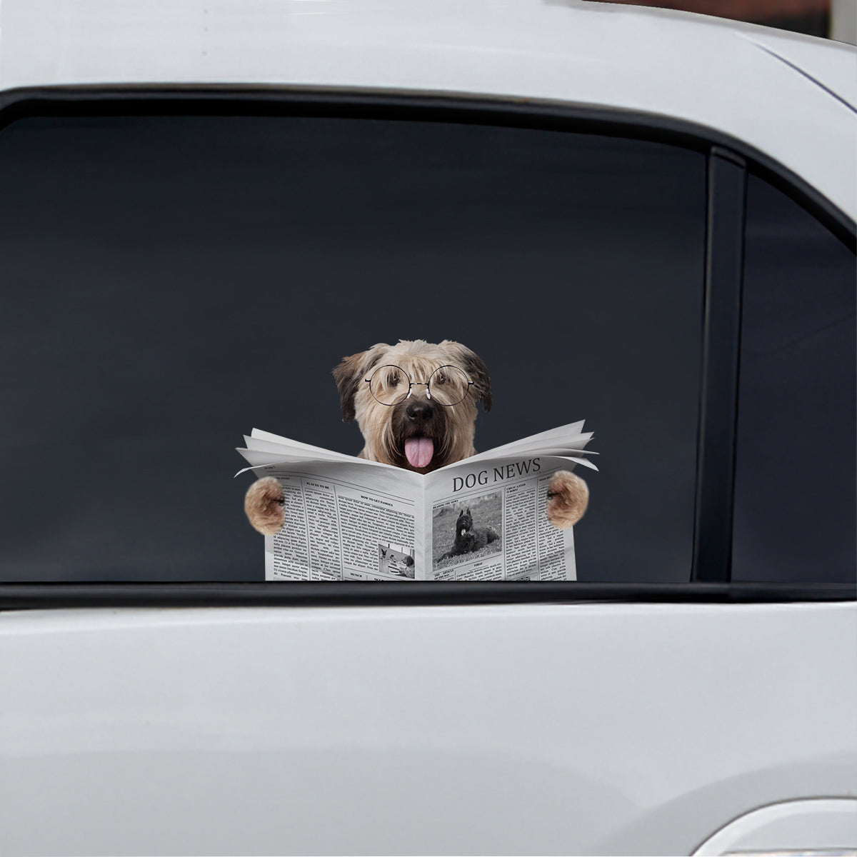 Avez-vous lu l'actualité aujourd'hui - Bouvier des Flandres Autocollant voiture/porte/réfrigérateur/ordinateur portable V1