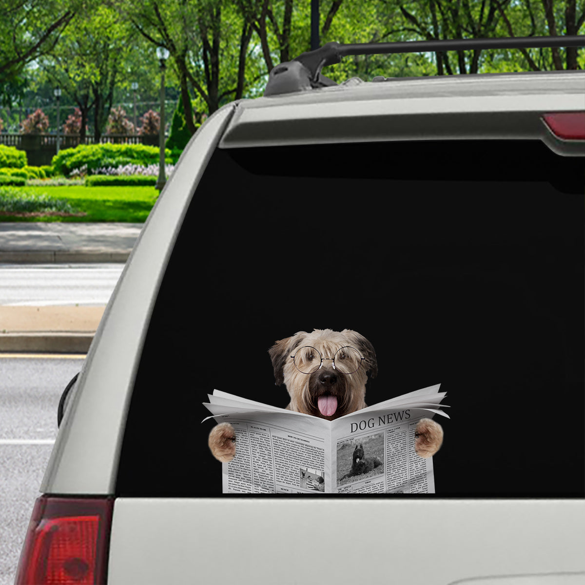 Have You Read The News Today - Bouvier des Flandres Car/ Door/ Fridge/ Laptop Sticker V1