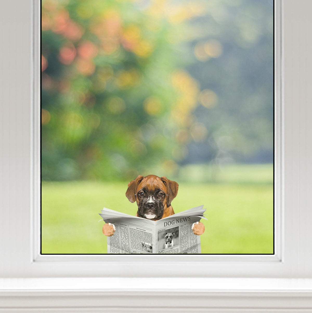 Have You Read The News Today - Boxer Dog Car/ Door/ Fridge/ Laptop Sticker V1