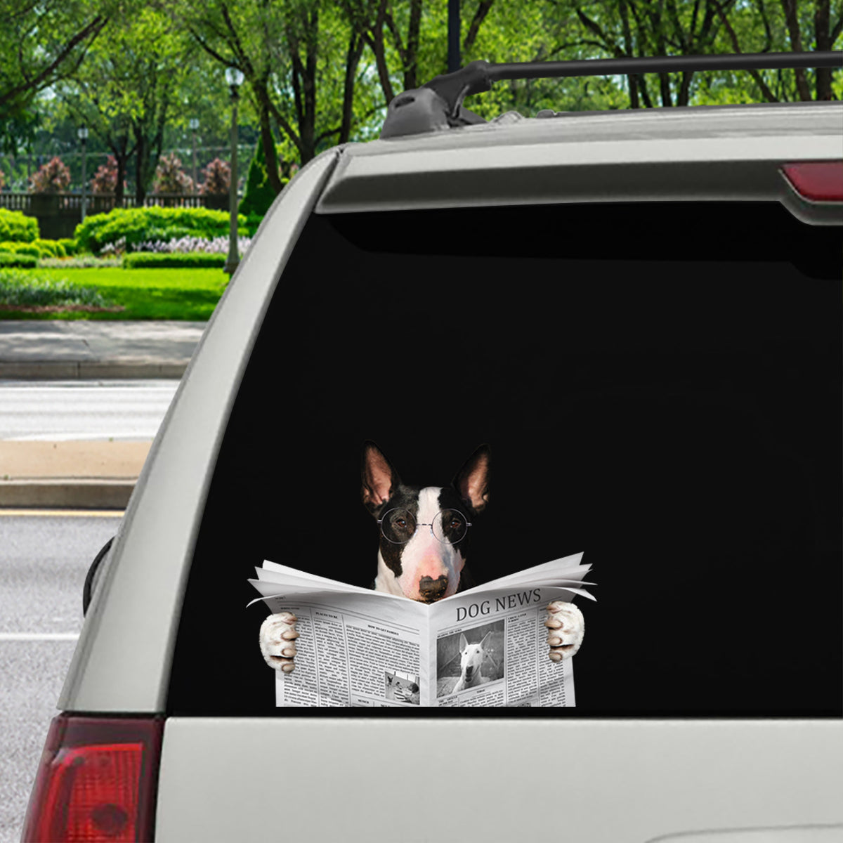 Have You Read The News Today - Bull Terrier Car/ Door/ Fridge/ Laptop Sticker V1