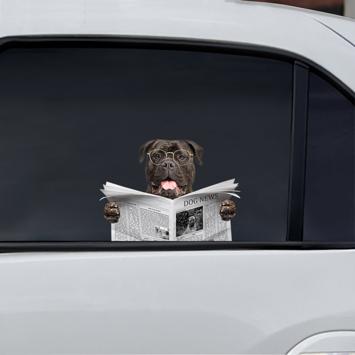 Haben Sie heute die Nachrichten gelesen – Bullmastiff Auto-/Tür-/Kühlschrank-/Laptop-Aufkleber V1