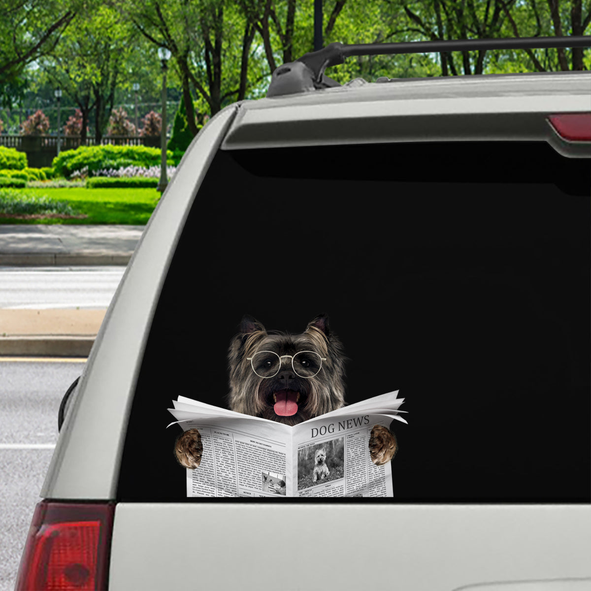 Haben Sie heute die Nachrichten gelesen? Cairn Terrier Auto-/Tür-/Kühlschrank-/Laptop-Aufkleber V1