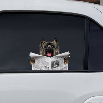 Haben Sie heute die Nachrichten gelesen? Cairn Terrier Auto-/Tür-/Kühlschrank-/Laptop-Aufkleber V1