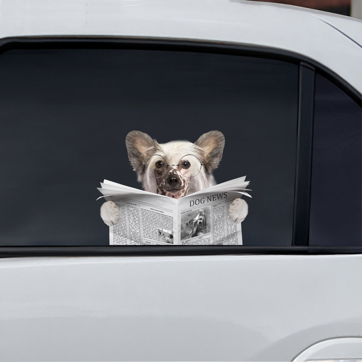 Have You Read The News Today - Chinese Crested Car/ Door/ Fridge/ Laptop Sticker V1