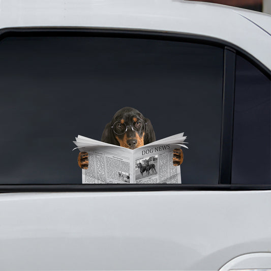 Have You Read The News Today - Coonhound Car/ Door/ Fridge/ Laptop Sticker V1