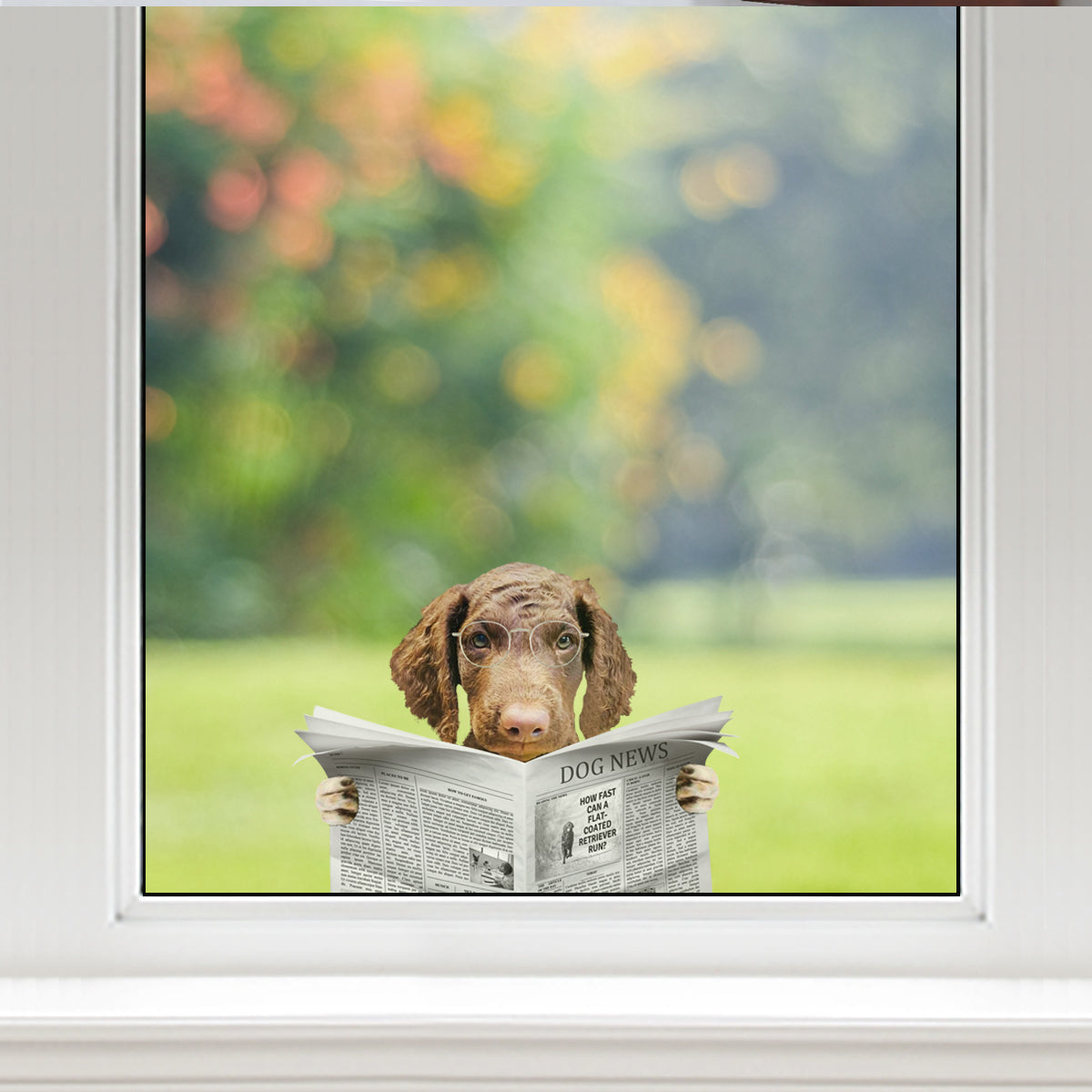 Haben Sie heute die Nachrichten gelesen? - Aufkleber für Auto, Tür, Kühlschrank und Laptop mit Curly Coated Retriever V1