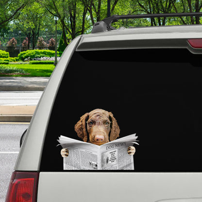 Haben Sie heute die Nachrichten gelesen? - Aufkleber für Auto, Tür, Kühlschrank und Laptop mit Curly Coated Retriever V1