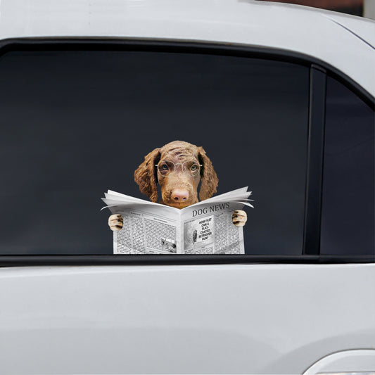 Avez-vous lu les nouvelles aujourd'hui - Autocollant de voiture/porte/réfrigérateur/ordinateur portable Curly Coated Retriever V1