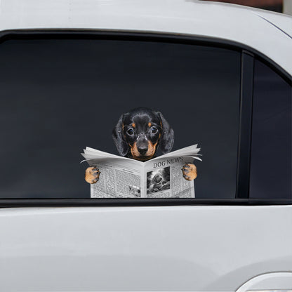 Have You Read The News Today - Dachshund Car/ Door/ Fridge/ Laptop Sticker V1