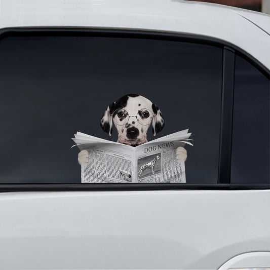 Haben Sie heute die Nachrichten gelesen – Dalmatiner-Auto-/Tür-/Kühlschrank-/Laptop-Aufkleber V1