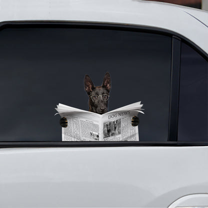 Haben Sie heute die Nachrichten gelesen? Aufkleber für Auto/Tür/Kühlschrank/Laptop mit niederländischem Schäferhund V1