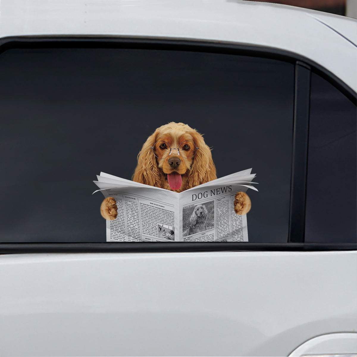 Have You Read The News Today - English Cocker Spaniel Car/ Door/ Fridge/ Laptop Sticker V2