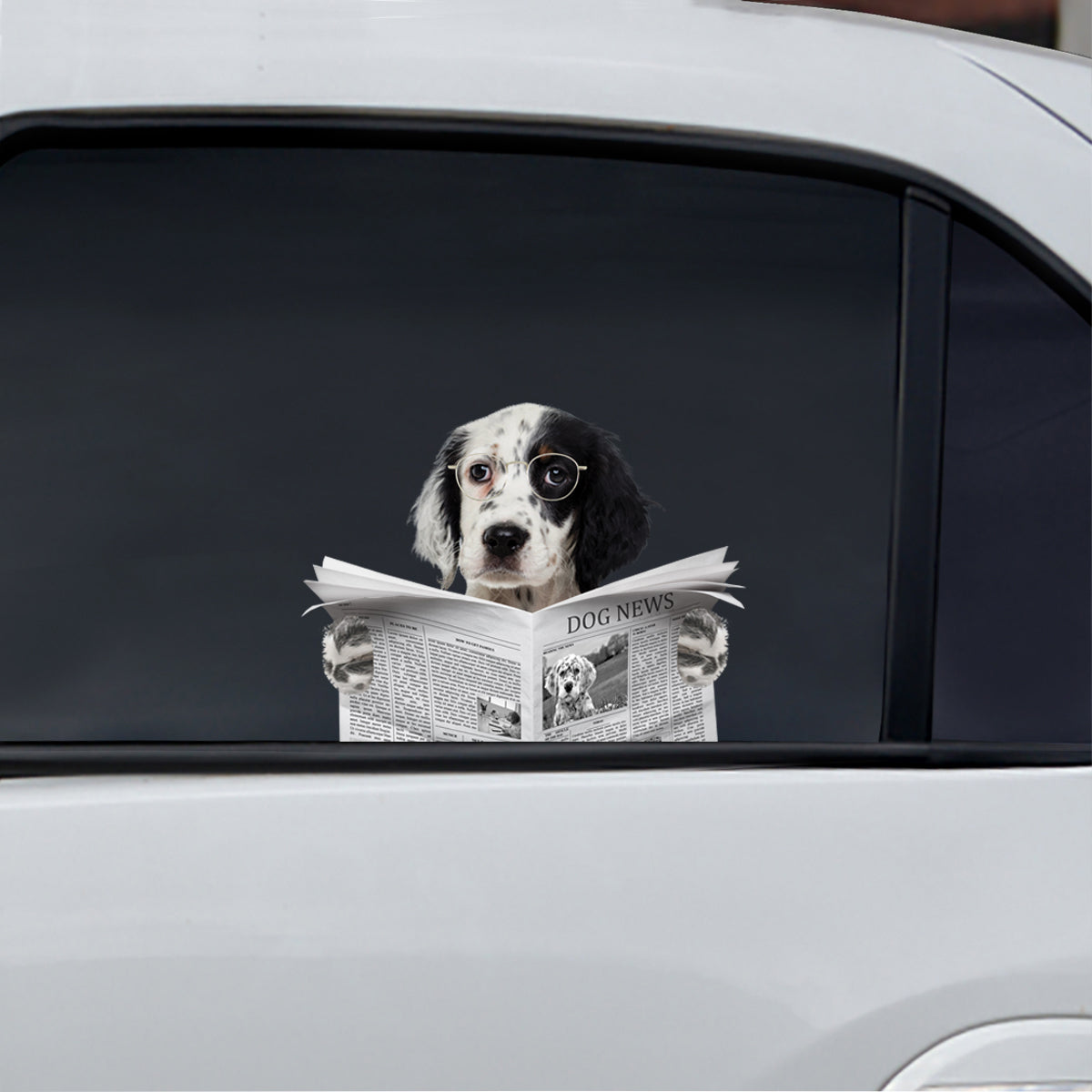 Have You Read The News Today - English Setter Car/ Door/ Fridge/ Laptop Sticker V1