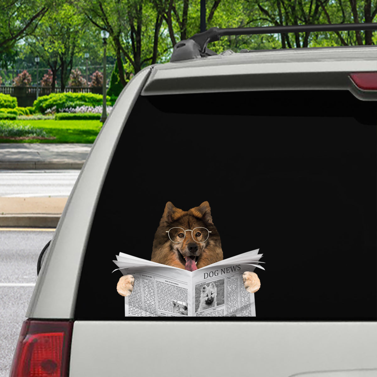 Have You Read The News Today - Eurasier Car/ Door/ Fridge/ Laptop Sticker V1
