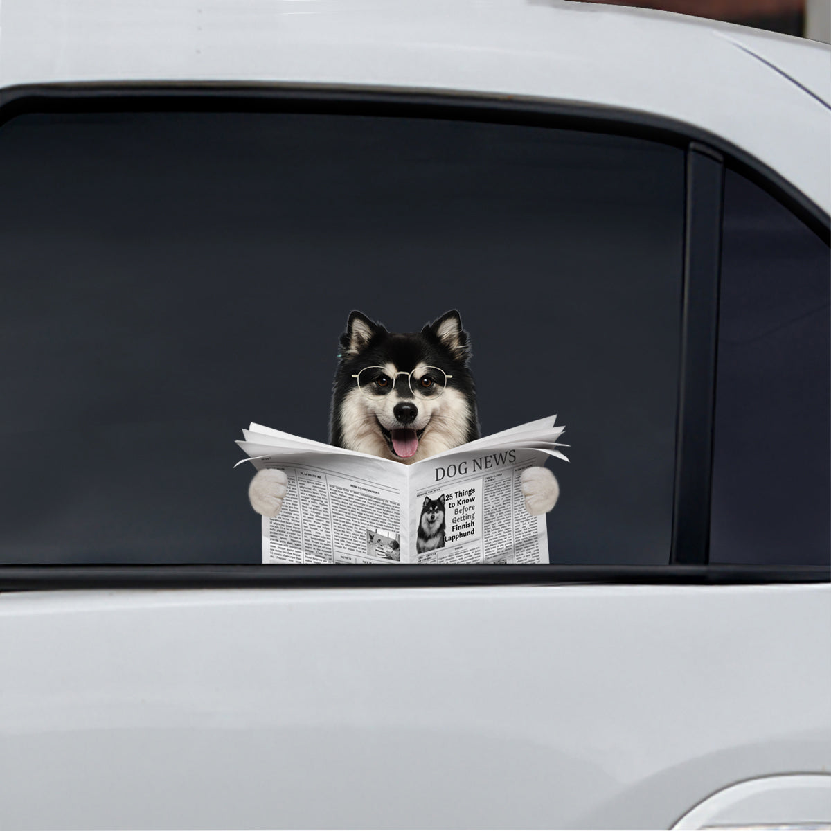 Have You Read The News Today - Finnish Lapphund Car/ Door/ Fridge/ Laptop Sticker V1