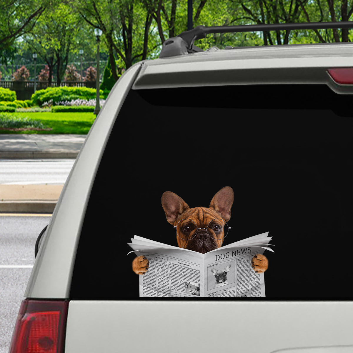 Have You Read The News Today - French Bulldog Car/ Door/ Fridge/ Laptop Sticker V1