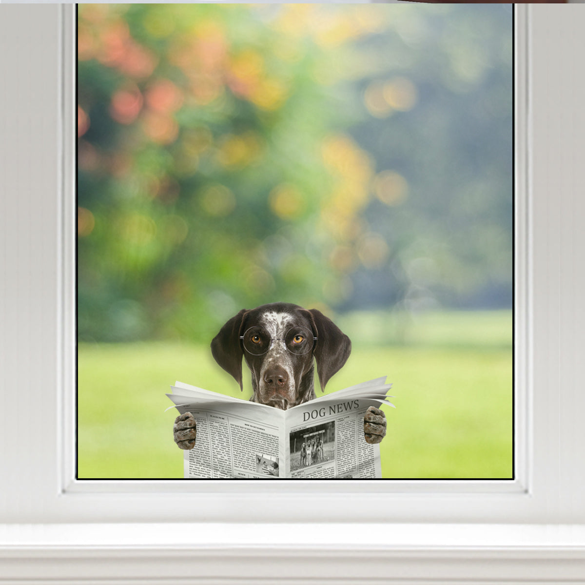 Have You Read The News Today - German Shorthaired Pointer Car/ Door/ Fridge/ Laptop Sticker V1