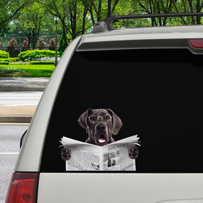 Have You Read The News Today - Great Dane Car/ Door/ Fridge/ Laptop Sticker V1