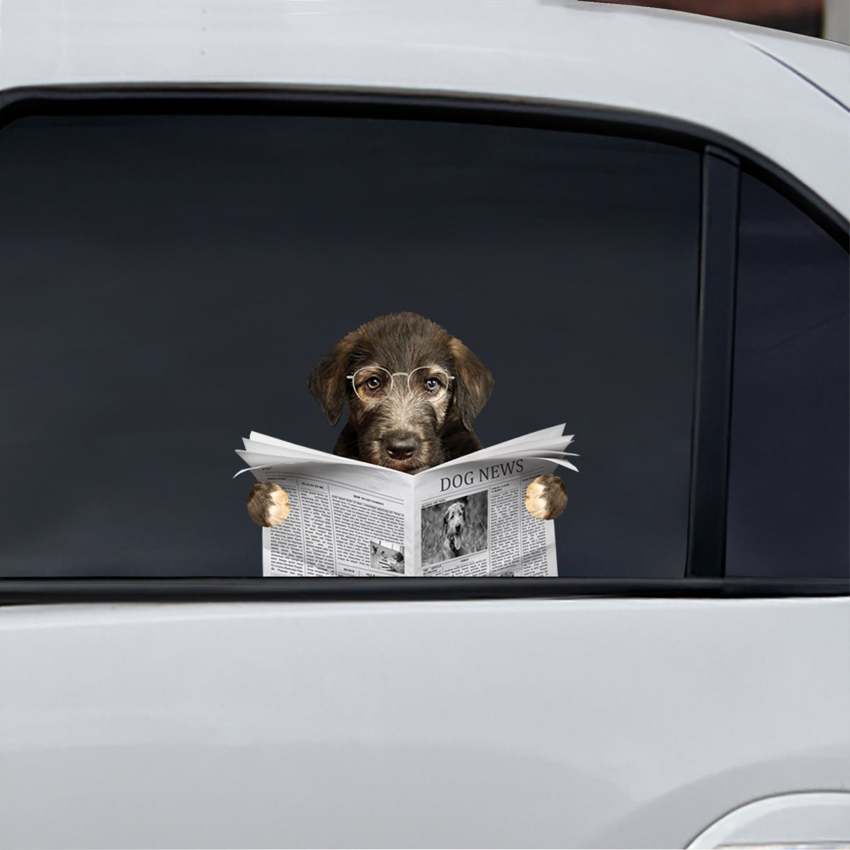 Haben Sie die Nachrichten heute gelesen? Aufkleber „Irish Wolfhound“ für Auto/Tür/Kühlschrank/Laptop V1