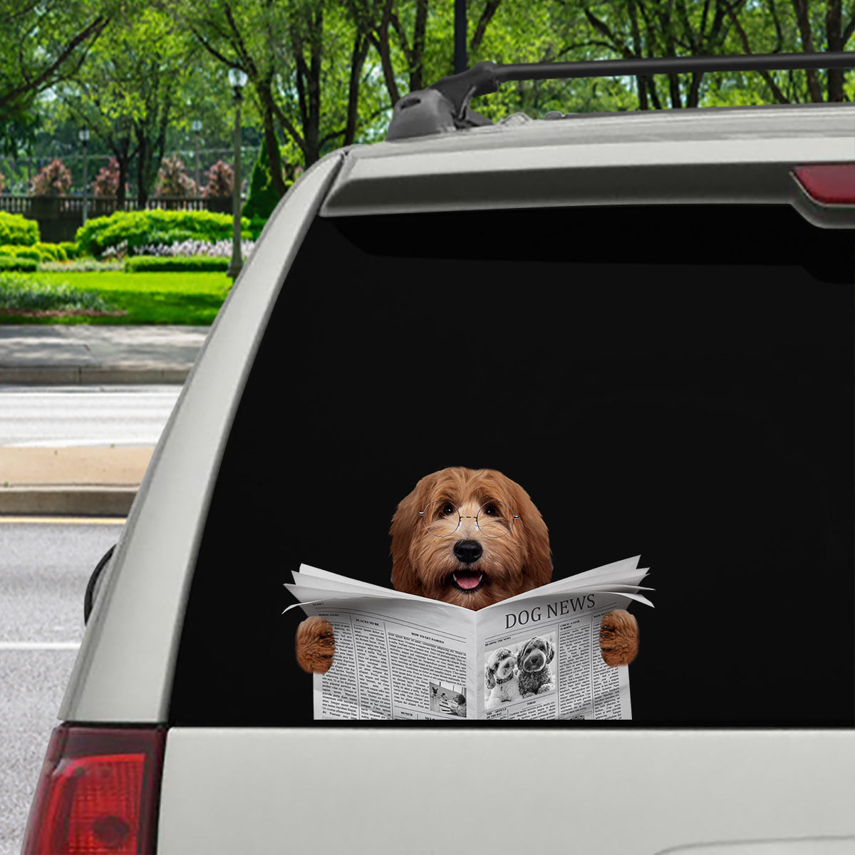 Haben Sie heute die Nachrichten gelesen – Labradoodle Auto-/Tür-/Kühlschrank-/Laptop-Aufkleber V1