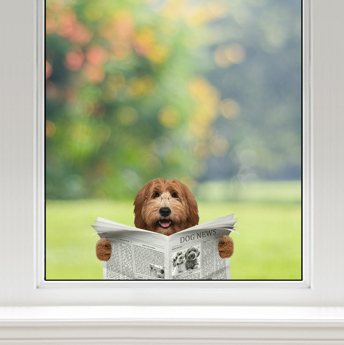 Haben Sie heute die Nachrichten gelesen – Labradoodle Auto-/Tür-/Kühlschrank-/Laptop-Aufkleber V1