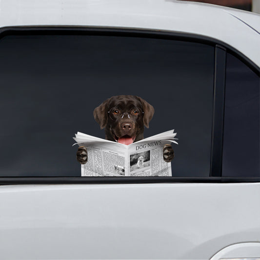 Avez-vous lu les nouvelles aujourd'hui - Autocollant de voiture/porte/réfrigérateur/ordinateur portable Labrador V1