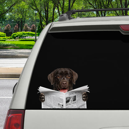 Have You Read The News Today - Labrador Car/ Door/ Fridge/ Laptop Sticker V1