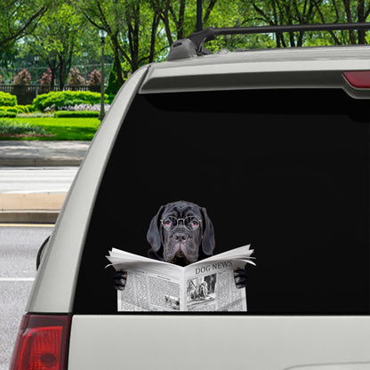 Haben Sie heute die Nachrichten gelesen – Aufkleber für Auto/Tür/Kühlschrank/Laptop mit neapolitanischem Mastiff V1