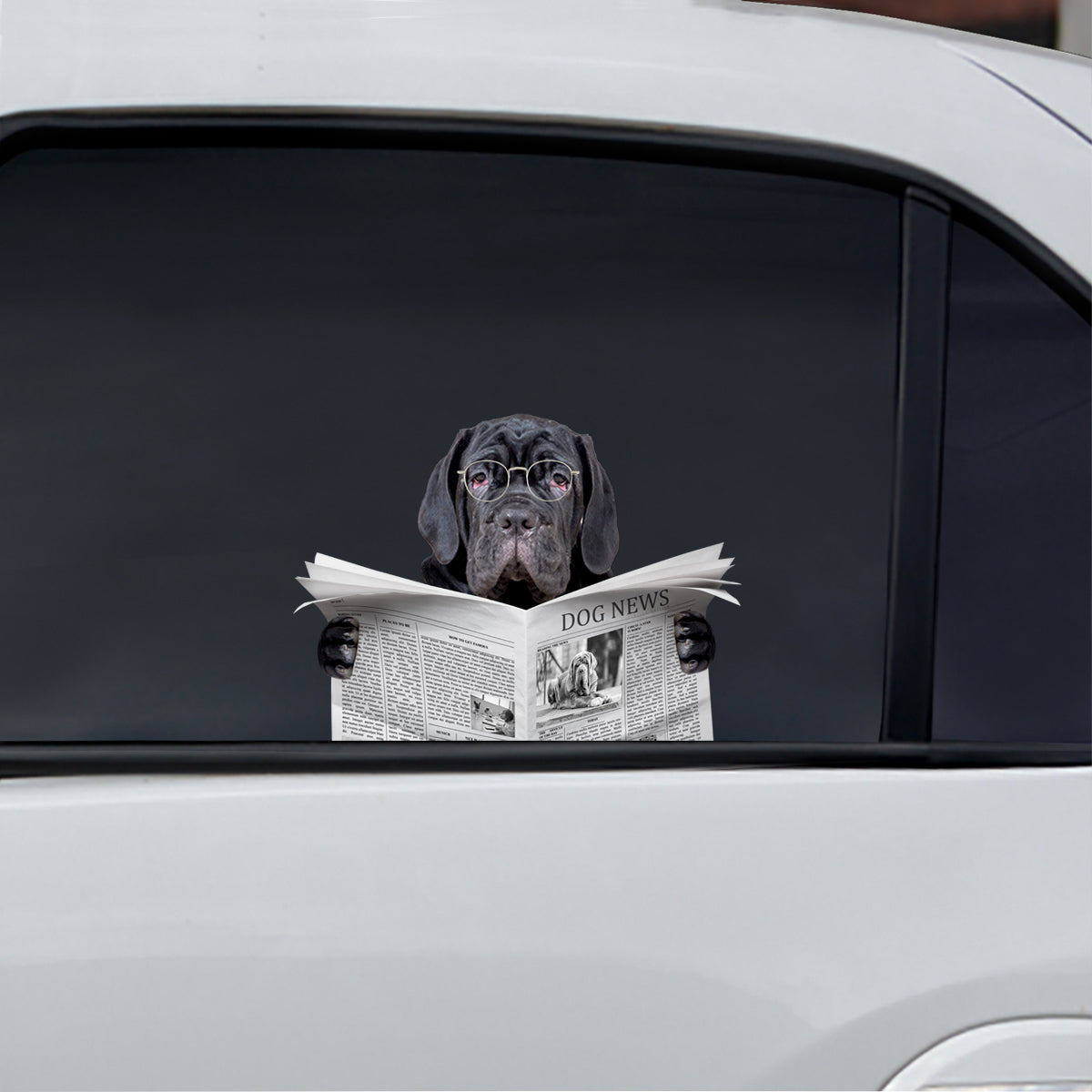 Haben Sie heute die Nachrichten gelesen – Aufkleber für Auto/Tür/Kühlschrank/Laptop mit neapolitanischem Mastiff V1