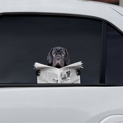 Haben Sie heute die Nachrichten gelesen – Aufkleber für Auto/Tür/Kühlschrank/Laptop mit neapolitanischem Mastiff V1