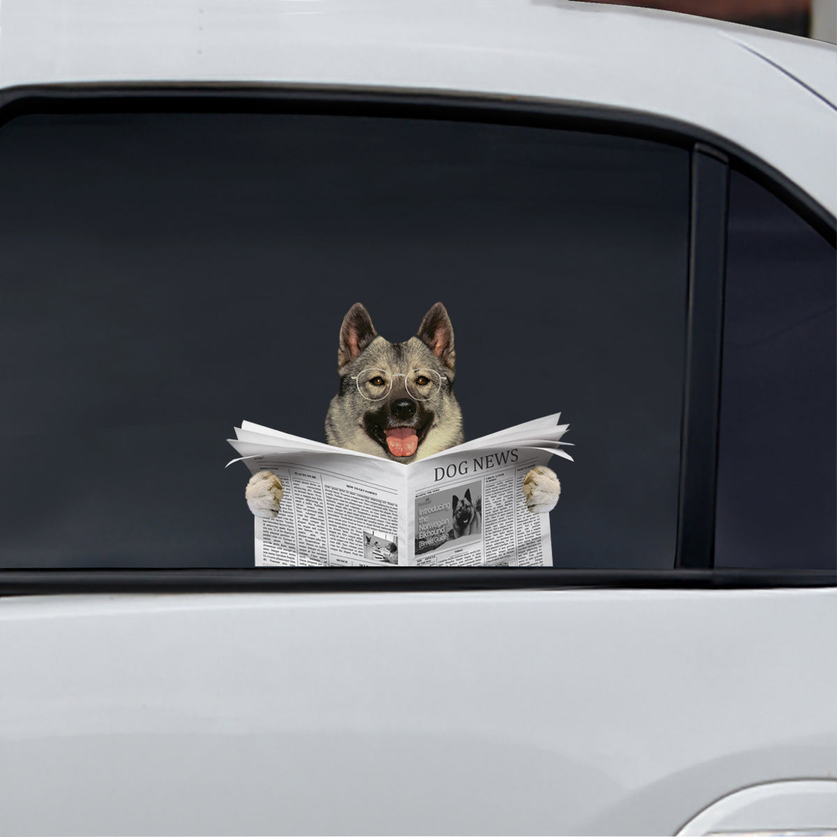 Haben Sie heute die Nachrichten gelesen? Aufkleber „Norwegischer Elchhund“ für Auto/Tür/Kühlschrank/Laptop V1