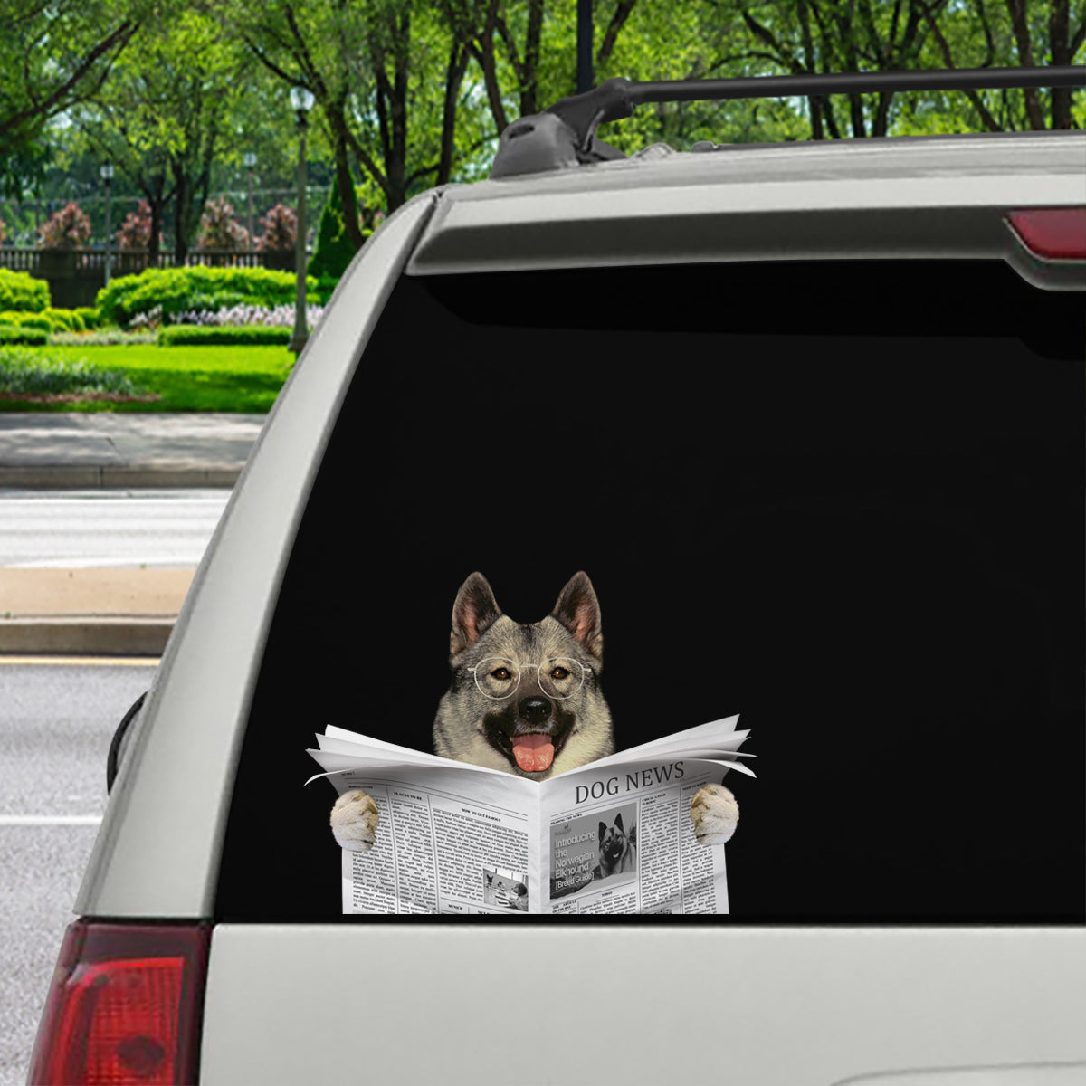Have You Read The News Today - Norwegian Elkhound Car/ Door/ Fridge/ Laptop Sticker V1