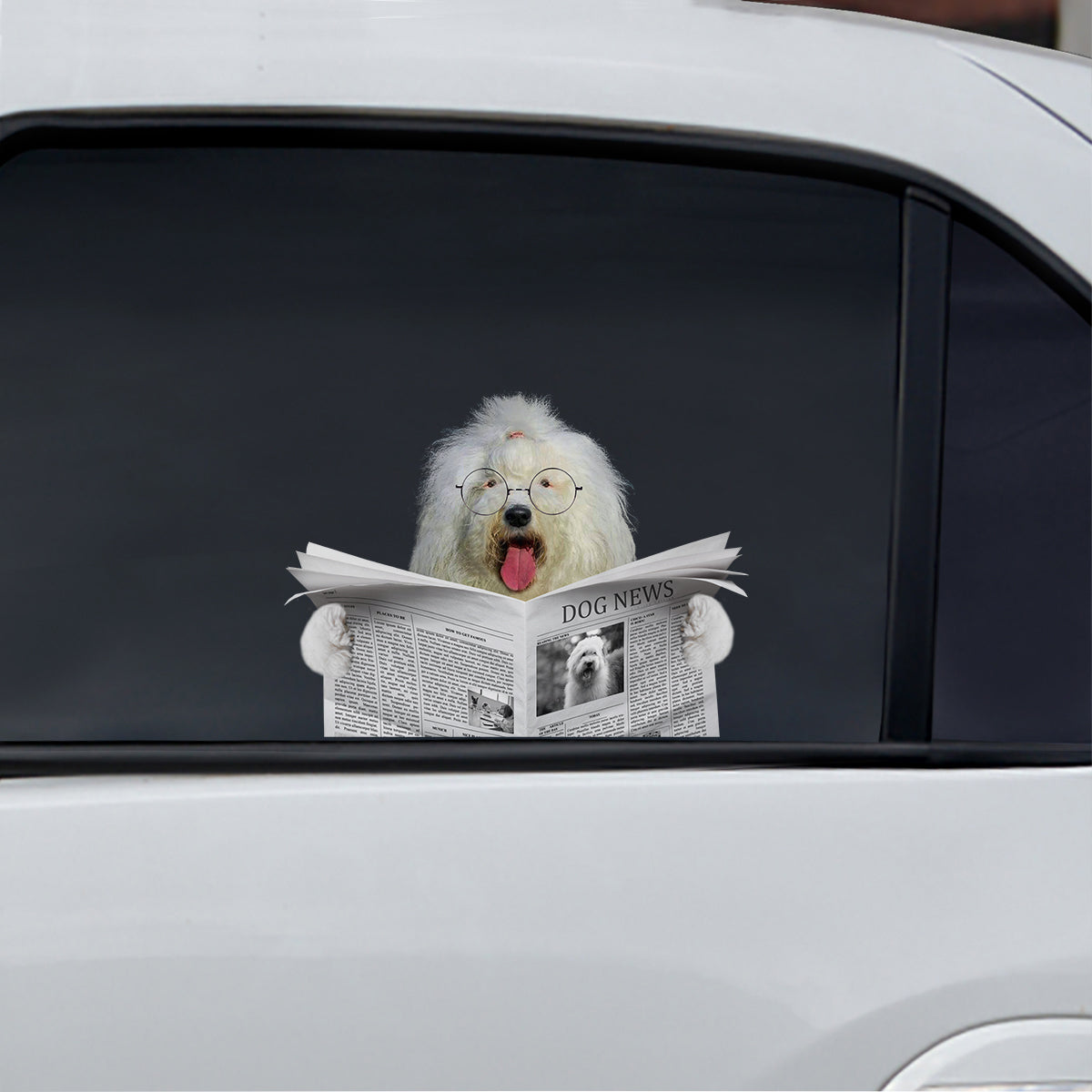 Haben Sie die Nachrichten heute gelesen – Old English Sheepdog Auto-/Tür-/Kühlschrank-/Laptop-Aufkleber V1