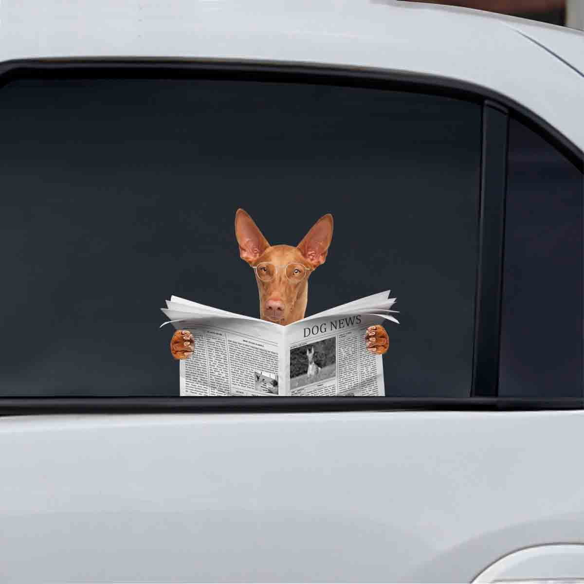 Have You Read The News Today - Pharaoh Hound Car/ Door/ Fridge/ Laptop Sticker V1