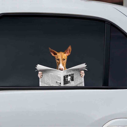 Avez-vous lu les nouvelles aujourd'hui - Podenco Canario Autocollant de voiture/porte/réfrigérateur/ordinateur portable V1