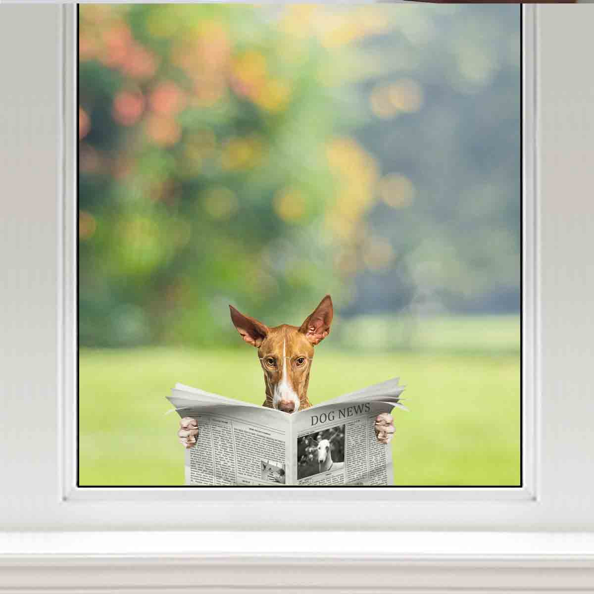 Avez-vous lu les nouvelles aujourd'hui - Podenco Canario Autocollant de voiture/porte/réfrigérateur/ordinateur portable V1