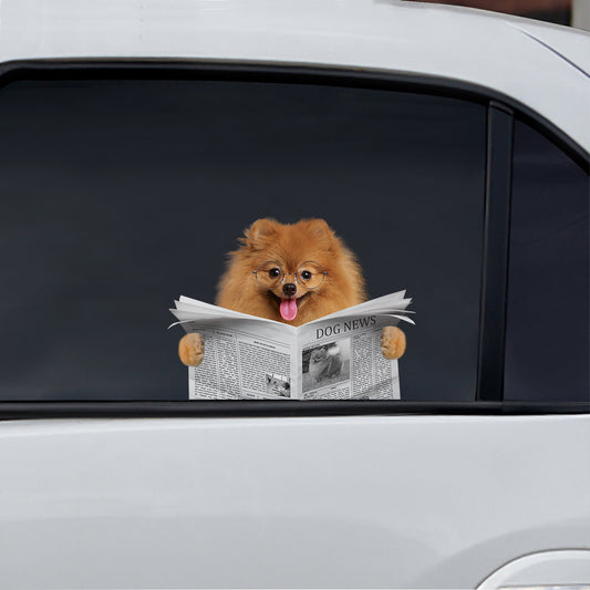 Have You Read The News Today - Pomeranian Car/ Door/ Fridge/ Laptop Sticker V1