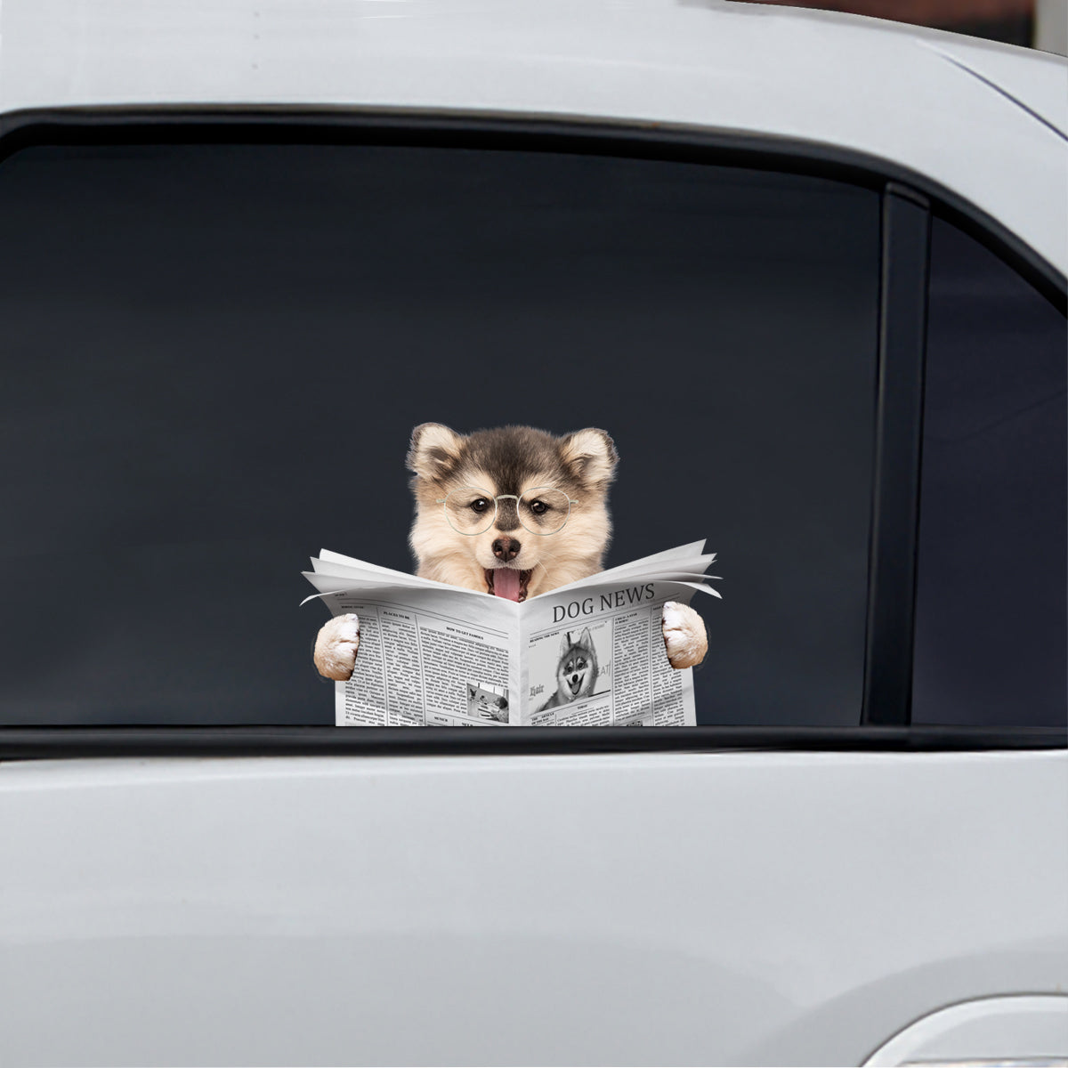 Avez-vous lu les nouvelles aujourd'hui - Autocollant Pomsky pour voiture/porte/réfrigérateur/ordinateur portable V1
