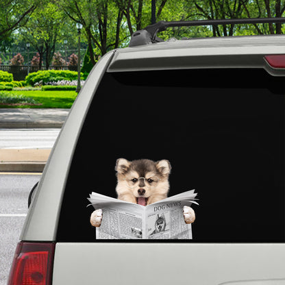 Avez-vous lu les nouvelles aujourd'hui - Autocollant Pomsky pour voiture/porte/réfrigérateur/ordinateur portable V1